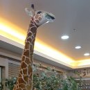 으랏차마취통증의학과의원 이미지