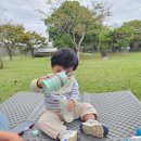 GS25 대저생태공원점 | 부산 을숙도생태공원 핑크뮬리? 대저생태공원으로 가세요