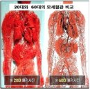 큐사랑(Q사랑) | 큐사랑 동충하초 제왕충초 가격
