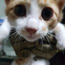 죽백2길 이미지