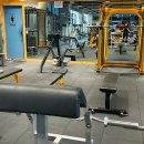 대명제 | [휘트니스캠프 헬스&amp;PT 죽전점] 죽전 헬스장 이용 후기 💪