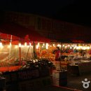 진도신비의바닷길 온라인 축제 네이버블로그