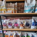 그린펫동물병원 이미지