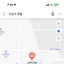 프로픽 풋볼