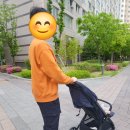 내돈내산 휴대용유모차 잉글레시나 퀴드3 후기