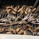 스파오디큐브거제
