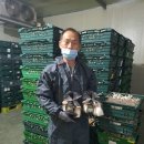 누리영농조합법인 이미지