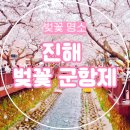 진해구 ⓒ-43 | 진해 벚꽃 군항제, 실시간 개화 상황 여좌천 로망스 다리 중원로터리 벚꽃여행 명소
