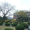 천안고등학교 이미지