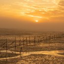 남강하하 이미지