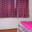 코스모스장 이미지