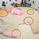 송아지 PC 이미지