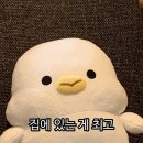 육연집 이미지
