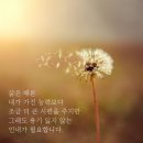 8월12일 수요일/It is Okay 이미지