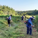 천안시 서북구청 이미지