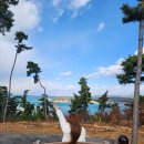 더반 힐 리조트펜션 이미지