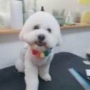 멍이의 품격 이미지