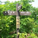 장미산주유소 이미지