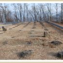 밀성군 묘역 및 신도비 이미지