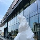 (주)바디프랜드 이미지