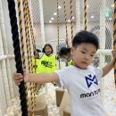 키즈중앙태권도장 이미지