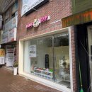 댕집 | 대구 강아지 케이크 [댕집] 한입케이크 환장하며 먹는 맛