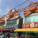 대게빵 - 영덕군 영덕대게로 109-1 | 대게빵