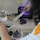 이마트24R미음구랑점 | 이유식 기록 (초기-중기 요알못이 진짜 편하게 야매로 이유식 함)