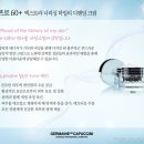 브리이에 이미지