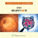 새장흥약국 이미지