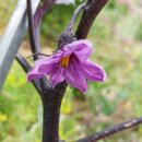 아침마당세탁 이미지