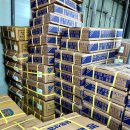 장수-8 | 장수비닐 비닐하우스 필름 8mX10m 사용 후기와 추천 포인트