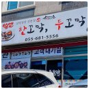 꼬막꼬막 이미지