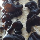 라하농장 이미지