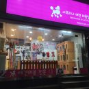 도봉구 방학동 반려동물 미용 전문샵 2 비교 및 솔직 리뷰