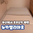 개인화물130 | 부산에서 후쿠오카 배편 시간 뉴카멜리아호 예약 방 매점 메뉴 조식