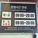 용두공원로3 | 송도케이블카 요금 비교, 당일 현장구매 vs 네이버 예약