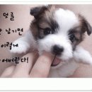 양촌리 생삼겹살 이미지
