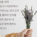 주 미가 이미지