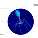 에스에이치개발 이미지