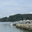 배양장 | 통영 디저트 카페 추천 오션뷰 카페 배양장 내돈내산 후기