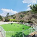 포시즌밸리계곡애견펜션 이미지