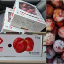 옹골농장 이미지