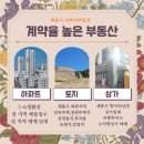 이루다부동산공인중개사사무소 이미지