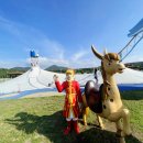 아이랑 함께 제주도 경마장 : 제주 렛츠런파크