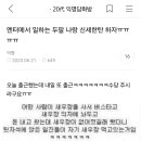 나 엔터 다닌지 6년차 이미지