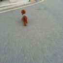 유스약국 이미지