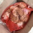 [싱싱보따리] 국내산 의성 햇마늘 대서마늘 3kg 후기