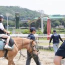 199 이미지