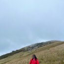 호텔간월재 이미지